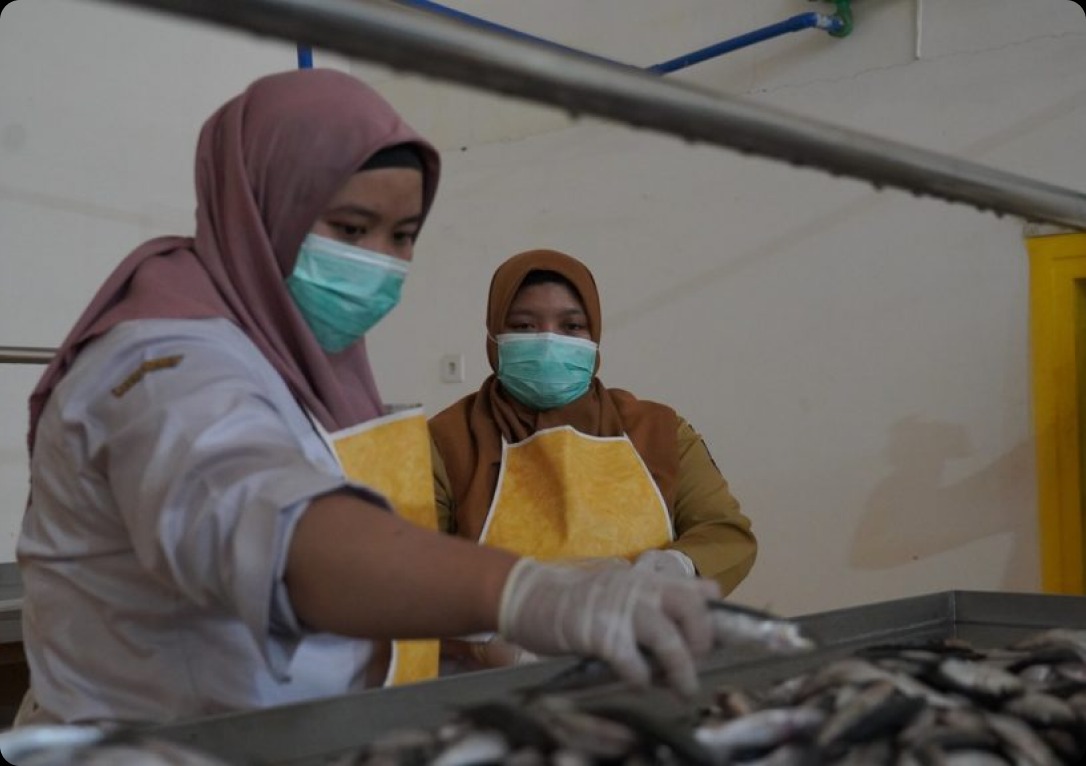 Audit SN TEFA Canning